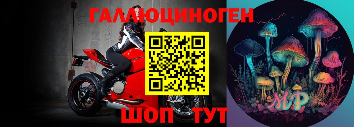 Галлюциногенные грибы Psilocybine cubensis  Галлюциногенные грибы MAGIC MUSHROOMS  Вход с VPN  как найти наркотики  Баксан 