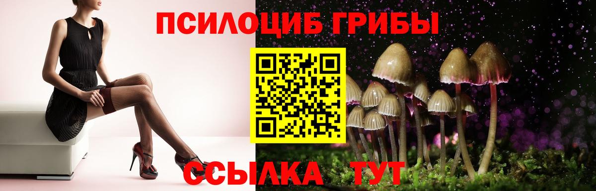 Галлюциногенные грибы GOLDEN TEACHER Баксан