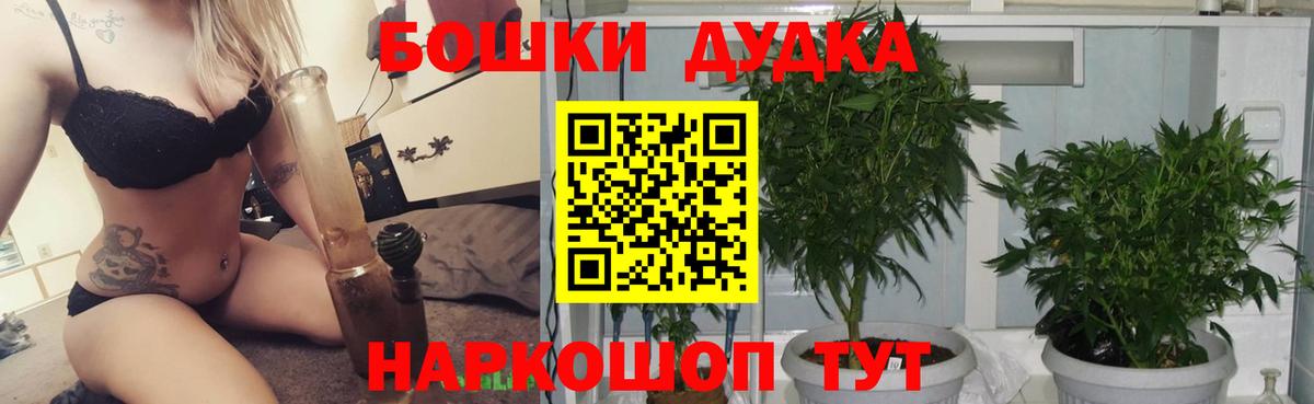 Баксан  Канабис Bruce Banner  Вход с VPN  Конопля сатива  МАРИХУАНА марихуана  Конопля семена 